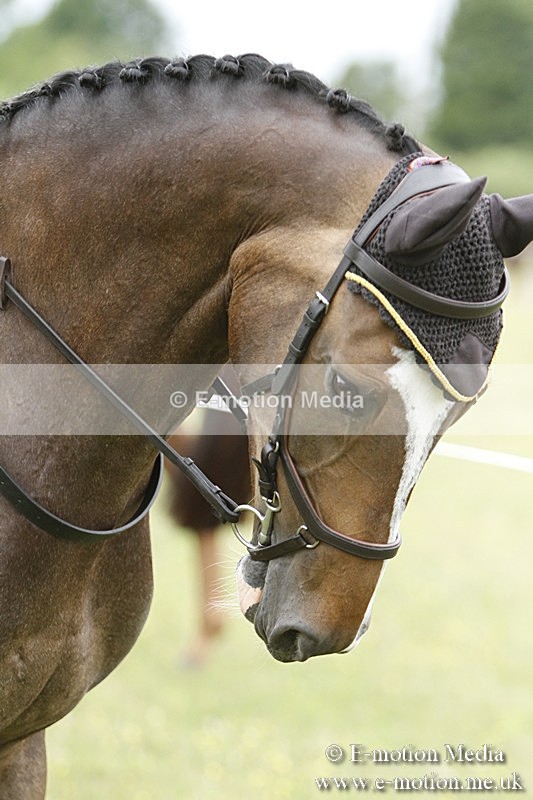 BVR160717-943 - Ring 3 BVRC Show 16/07/17