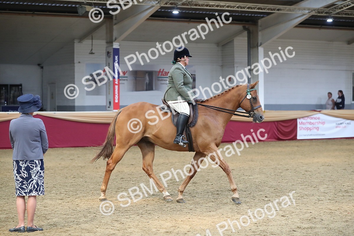 SBM_12370 - Class 108 Ridden Retired Racehorse- Pre Judging