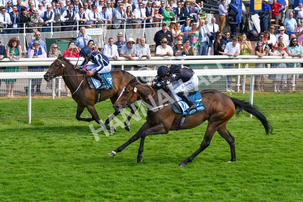 160623-Race 3-Radio Goo Goo-6240 - Race 3 3.00pm British EBF Supporting Racing With Pride Fillies' Handicap