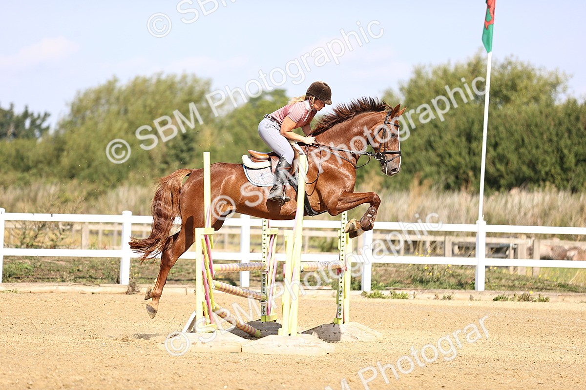 SBM_005606 - Class 9 - Senior British Novice - 90cm