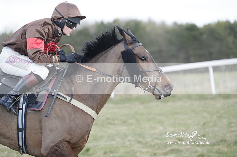 PtP 260223 665 - South & West Wilts Point-to-Point Larkhill 26/02/23