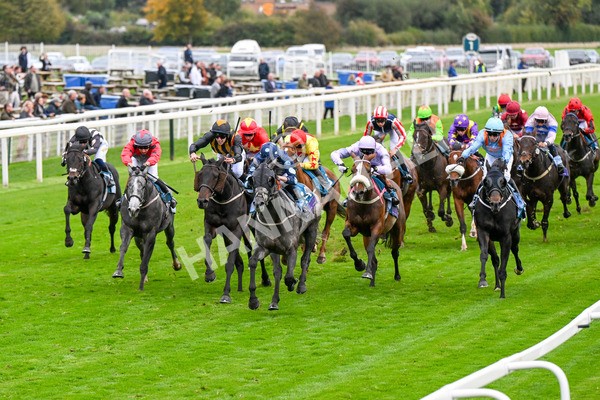 101025-Race 7-Sky Advocate-0580 - Race 7 PJ Staffing Group Apprentice Handicap at York