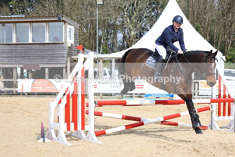 3E7A6885 - Class 4: Senior British Novice/90cm open