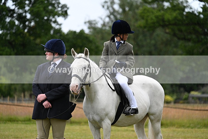 WJ7_4848 - Class 1 Lead Rein Pony