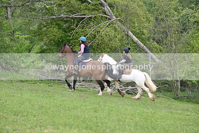 WJ6_3242 - A camera