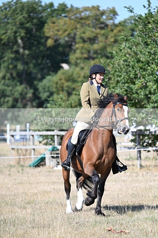 WJ7_3767 - Class 9 Mountain & Moorland Ridden