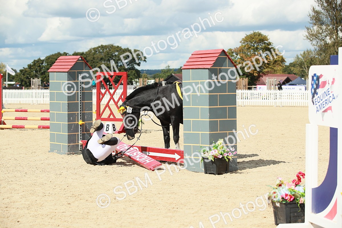 SBM_06225 - J29 Senior 65cm Championship