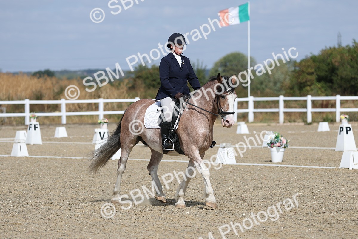 SBM_020941 - Class 21 - M5 Bronze 10.58.12.10