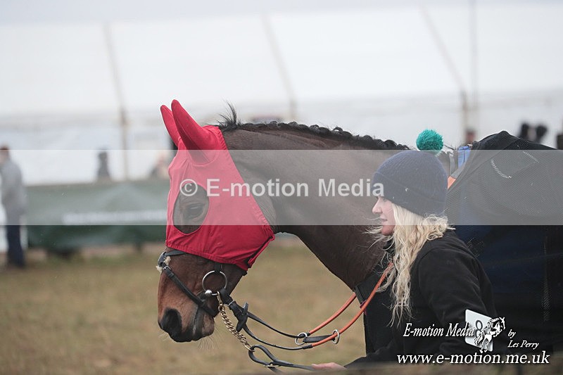 PtP 260125 404 - Cocklebarrow Point-to-Point racing with the Heythrop Hunt 26/01/25