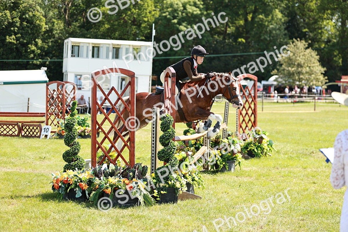 SBM_17627 - Class 112-113 - BSPS LIHS Working Sports Pony