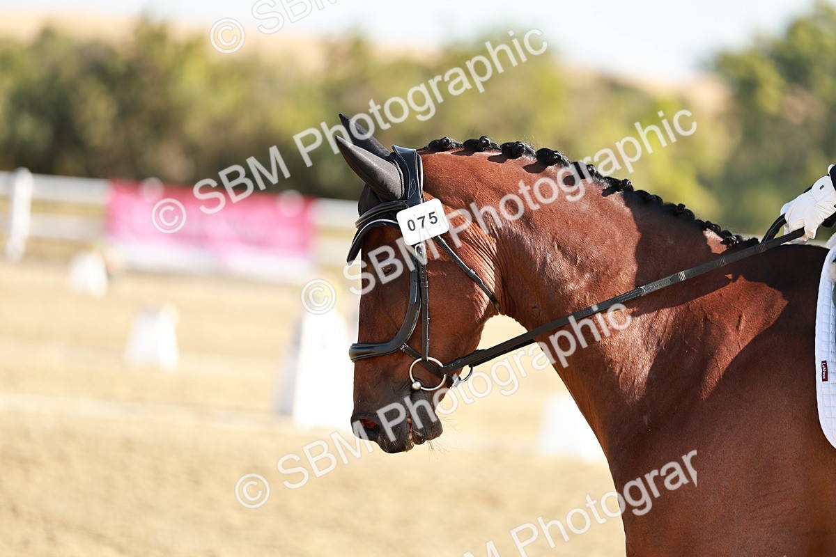 SBM_016910