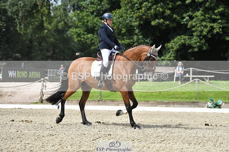 230812-114716-03698 - Cls 6 Novice Silver 10.30 to 11.55 break