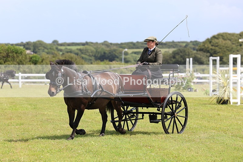 3E7A2712 - Class 12: Open Driving