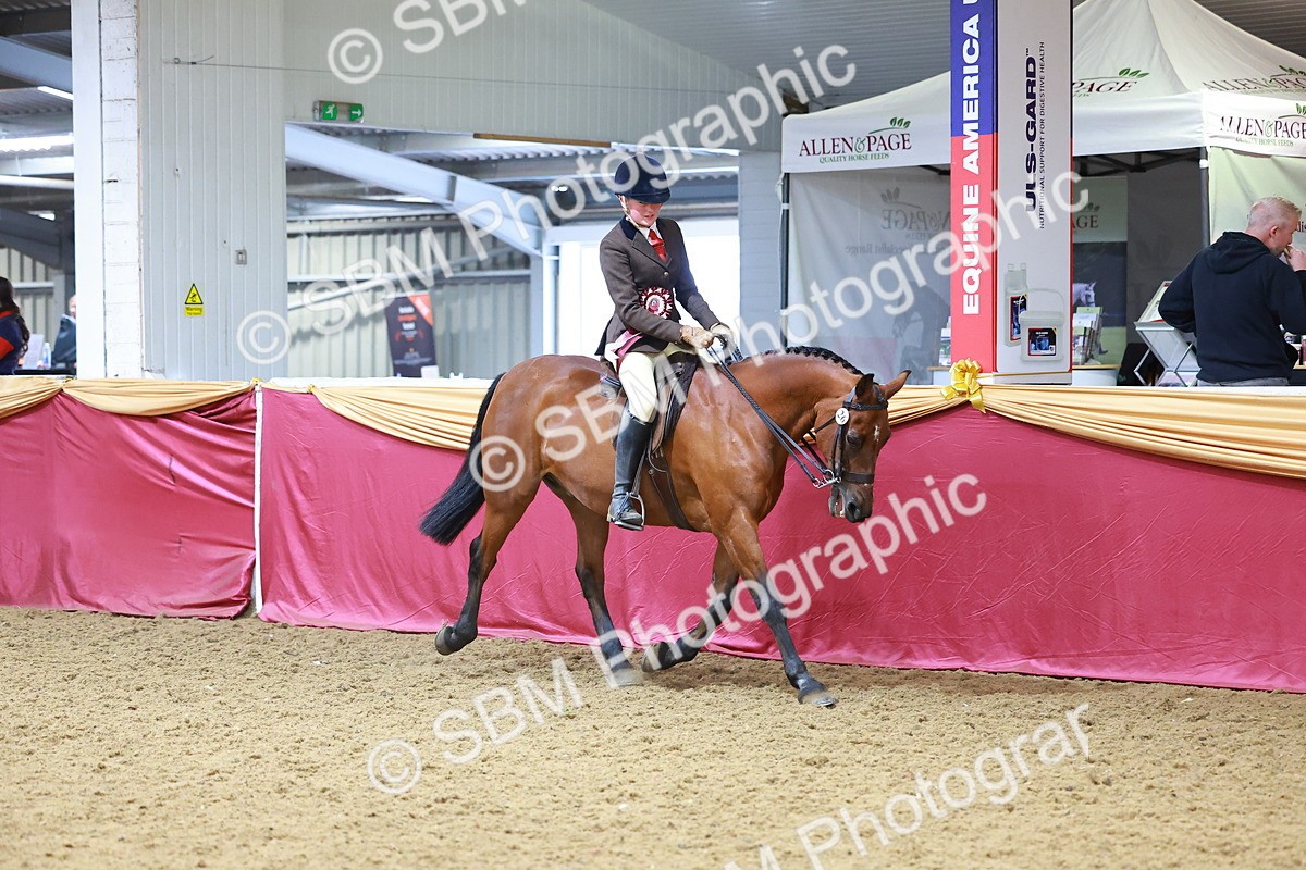 SBM_06438 - Regional Ridden Championship