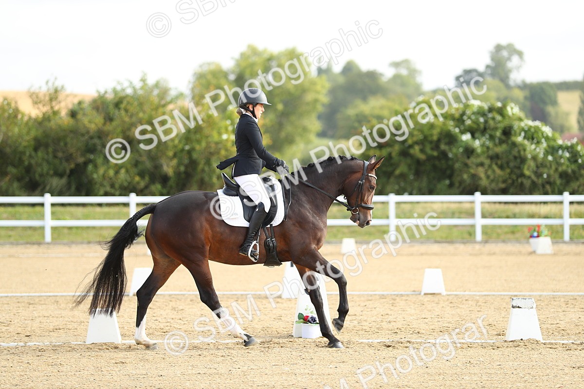 SBM_015025 - Class 13 - Novice 23 - 8,30-9.33