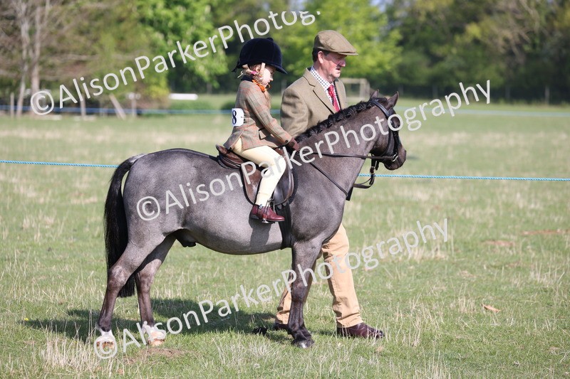 20250427-0094 - Class 30 - Tiny Tots Lead Rein