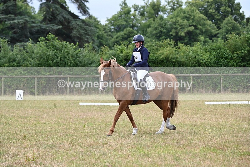 WJ6_0895 - Time 10:28 to 10:40