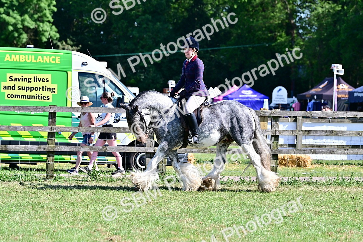 SBM_19424 - Class 101-102 - BSPS LIHS Performance Coloured Horse/Pony