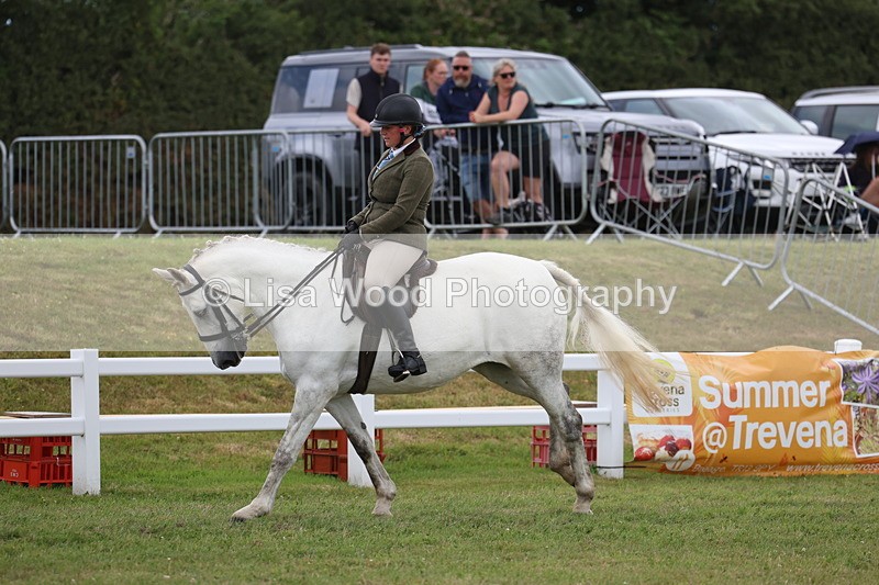 3E7A1464 - Class 9: Open Hunter