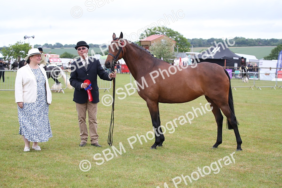 SBM_00224 - Class 17-20 - Arab & Part Bred - Anglo Arab In Hand