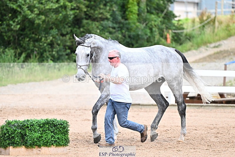 240718A-105323-01933 - Trot Up 2pm to 3pm - This folder is not in time order