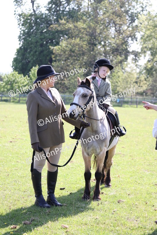 20250427-1556 - Class 31 - Leading Rein Pony