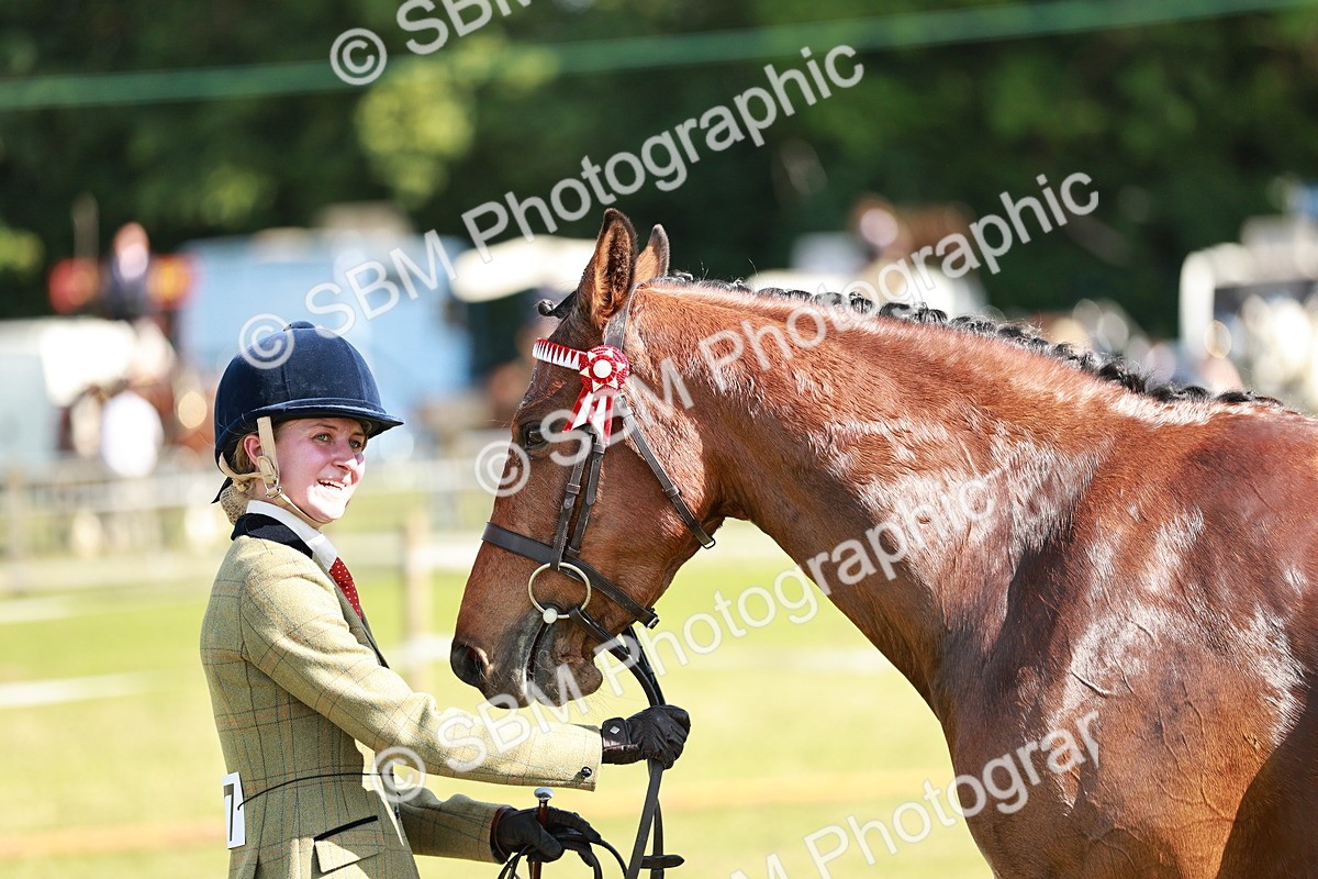 SBM_18923 - Class 114 - RIHS & SEIB Open Working Show Horse