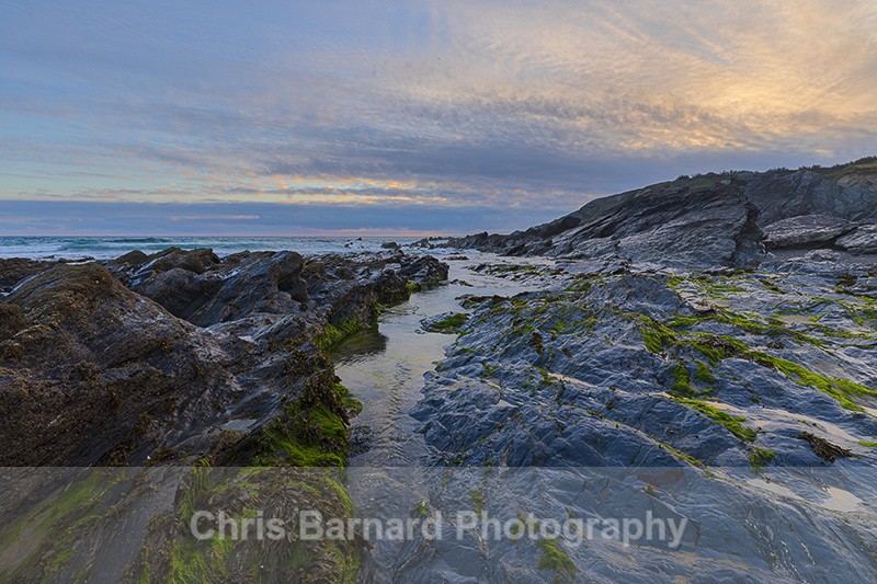  - Dollar Cove Gunwalloe