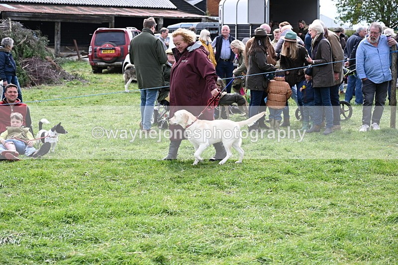 WJ6_8280 - Class 4 Prettiest Bitch