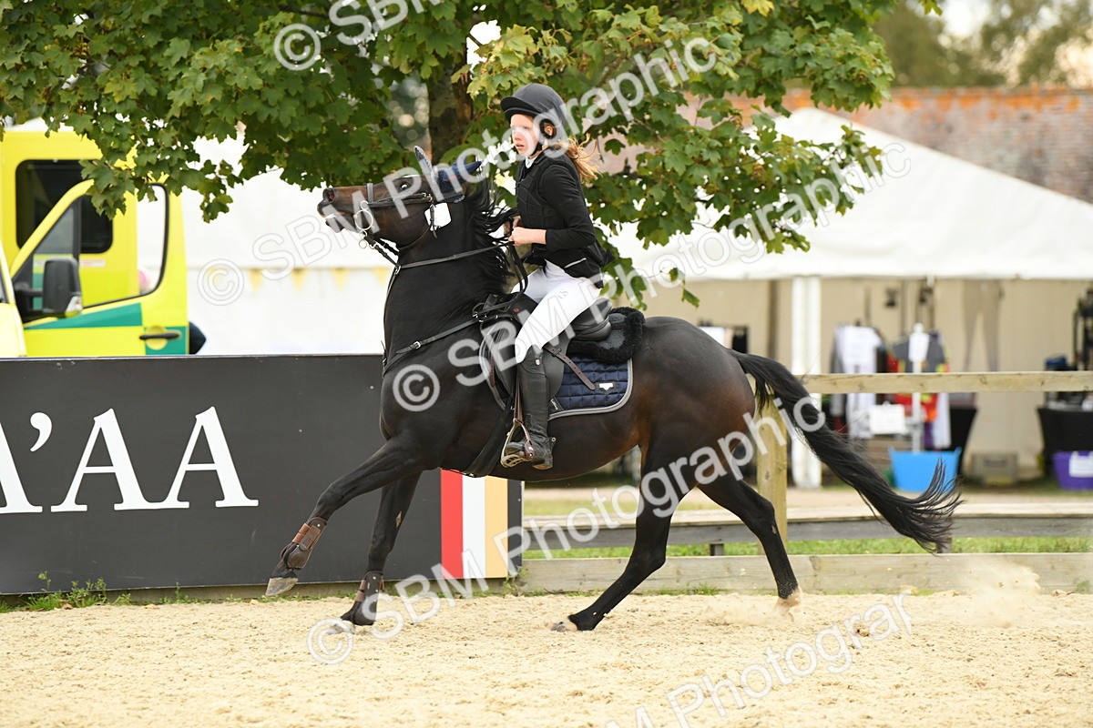 SBM_75775 - Supreme Championship