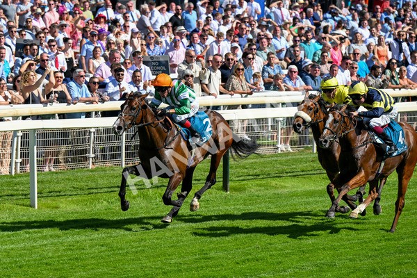 120725-Race 5-Amazing Journey-0419 - Race 5 4.15pm John Smith's Nursery Handicap