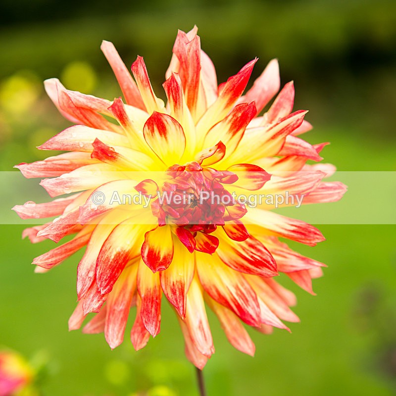 20131002-3K8A6759 - Plants & Flowers