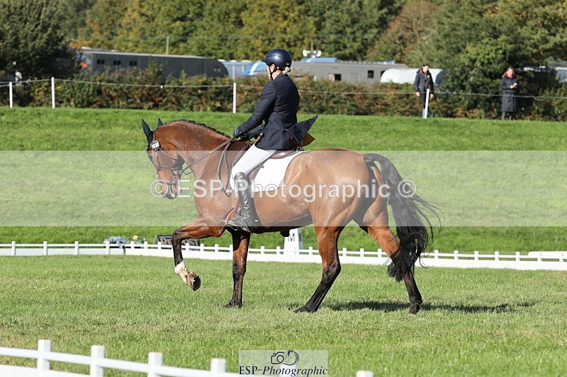251024A-122502-10185 - D-361-Alison.Gill