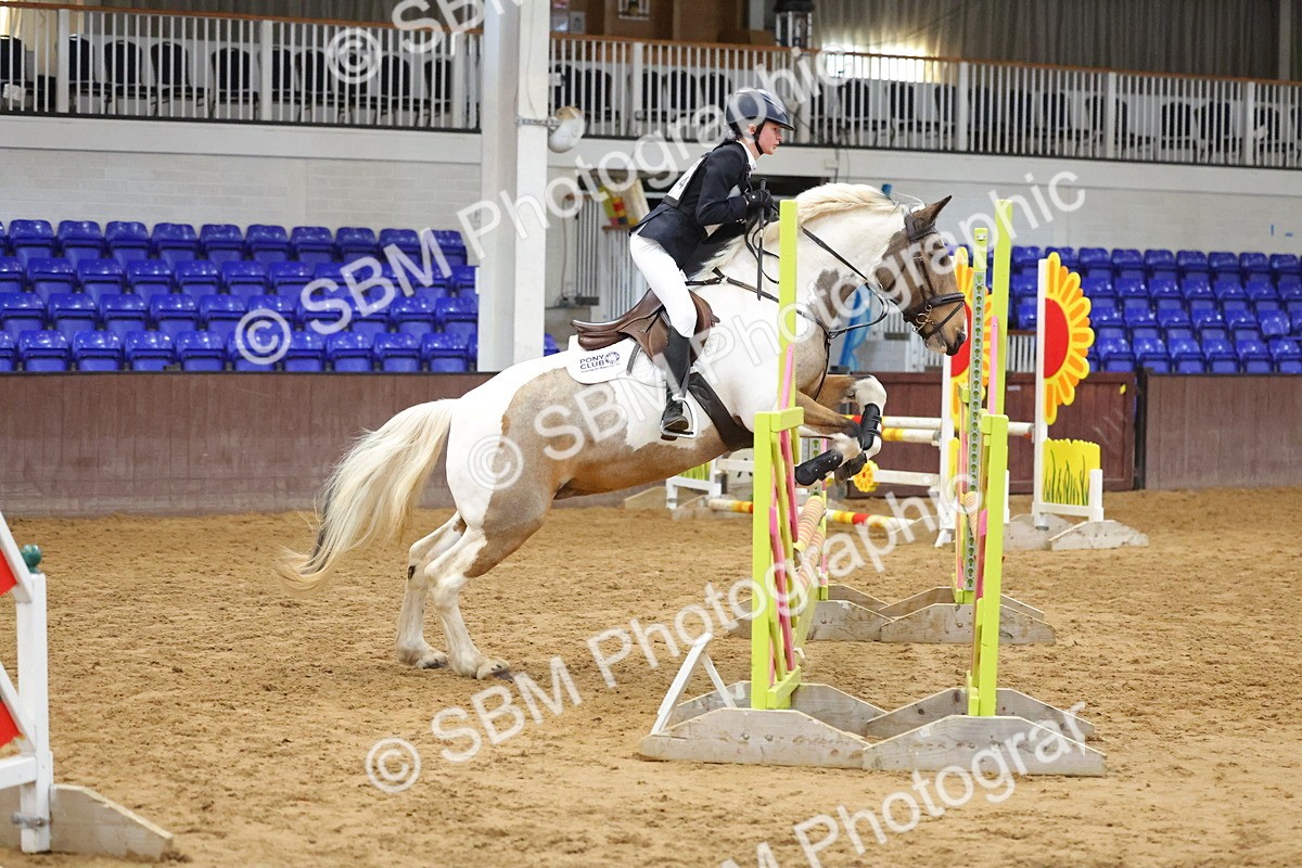 SBM_001911 - Class 5 - Show Jumping 80cm