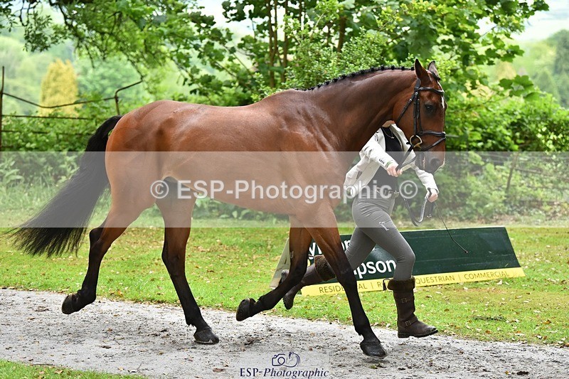 240522-160558-00714 - 153-LEGENDE_P-Ellie_Fredericks