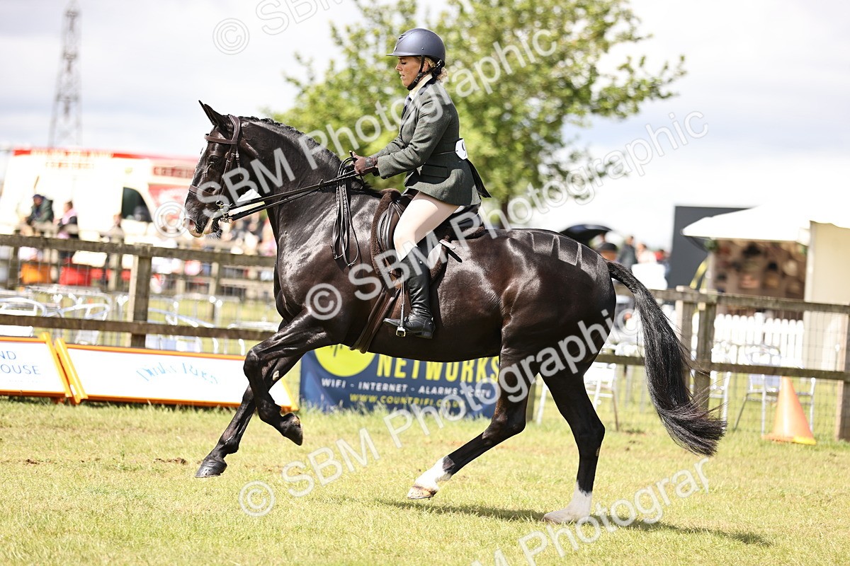 SBM_14541 - Class 88-89 - LIHS BSHA Rising Star of Ridden Hunter Type