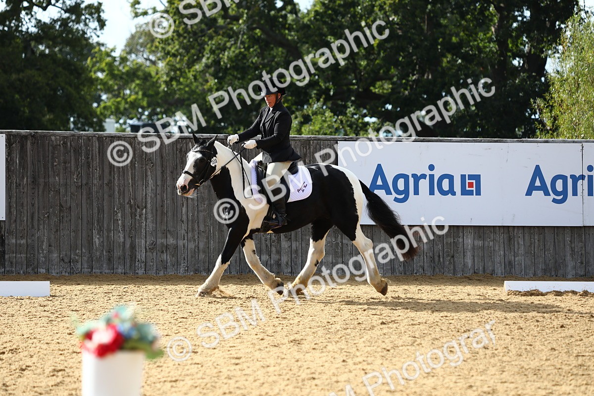 SBM_26733 - D11 - Small Tour Championship Prelim 1