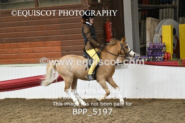 BPP_5197 - CLASS 4 50cm