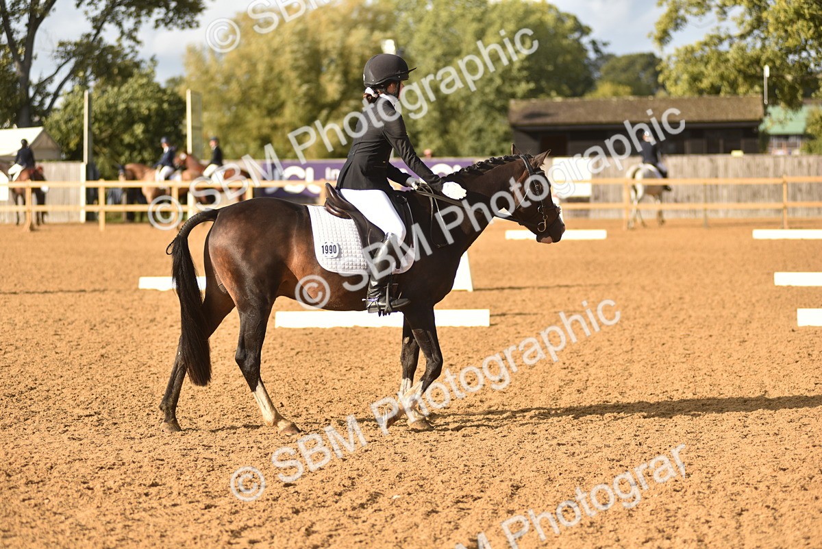 SBM_53293 - D24 - Junior Championship Prelim 3