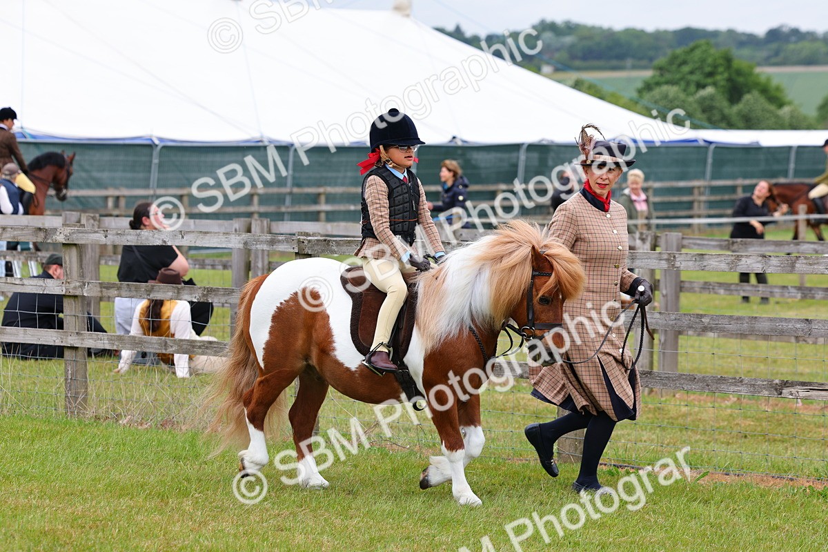 SBM_08090 - Class 42-43 - LIHS BSPS Heritage Working Sports Pony
