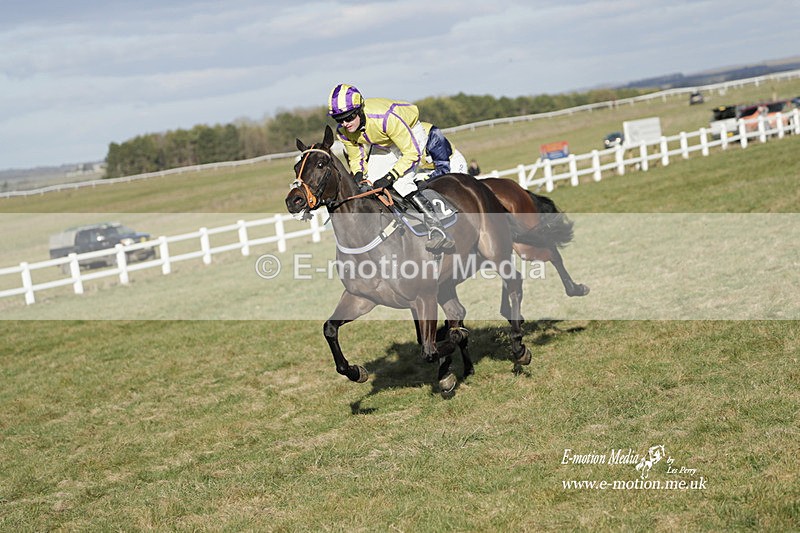 PtP 260223 1216 - South & West Wilts Point-to-Point Larkhill 26/02/23