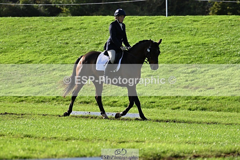 241025-142733-10022 - 453-Caroline.Davies-HAPPY.H