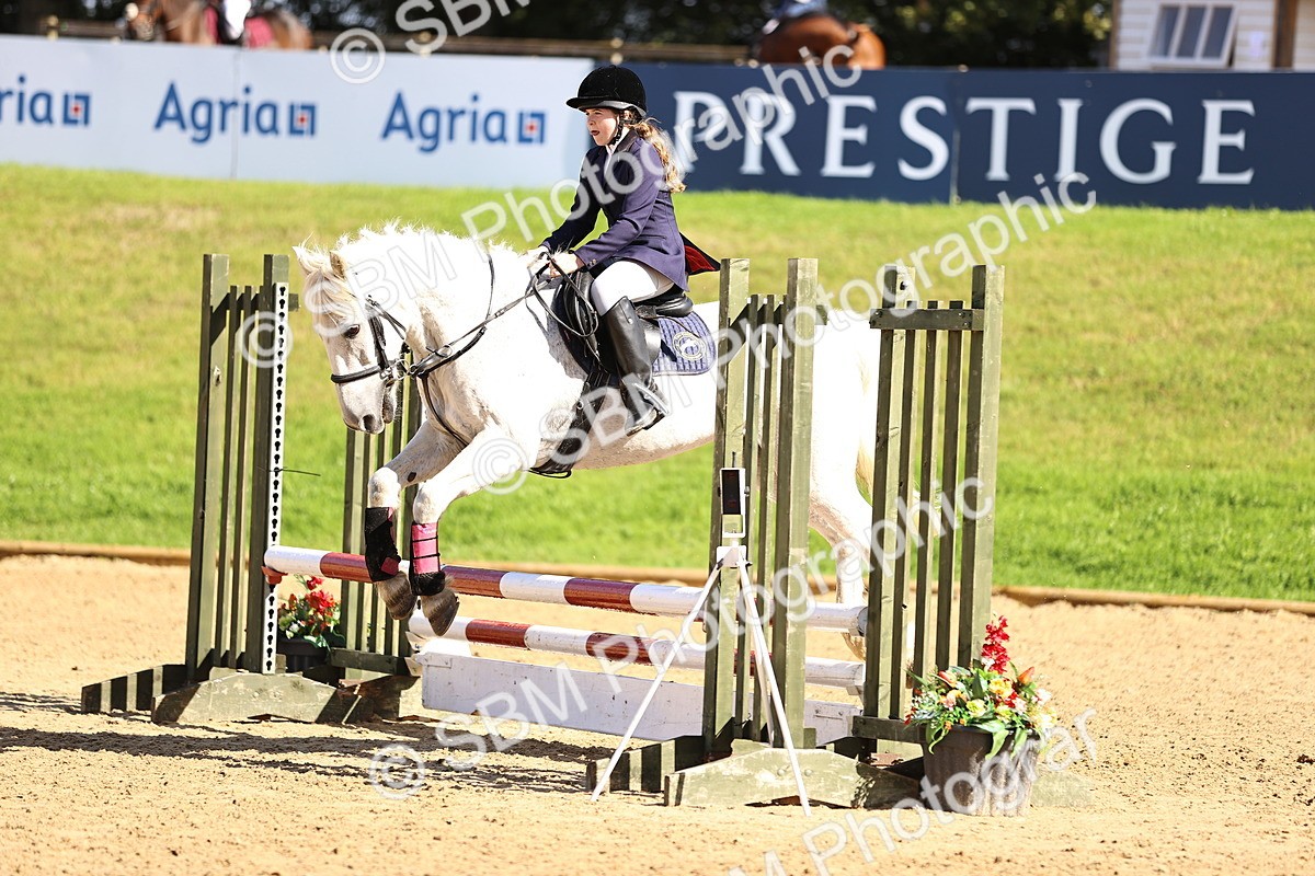 SBM_46016 - J9 - Junior Pony 70cm Championship