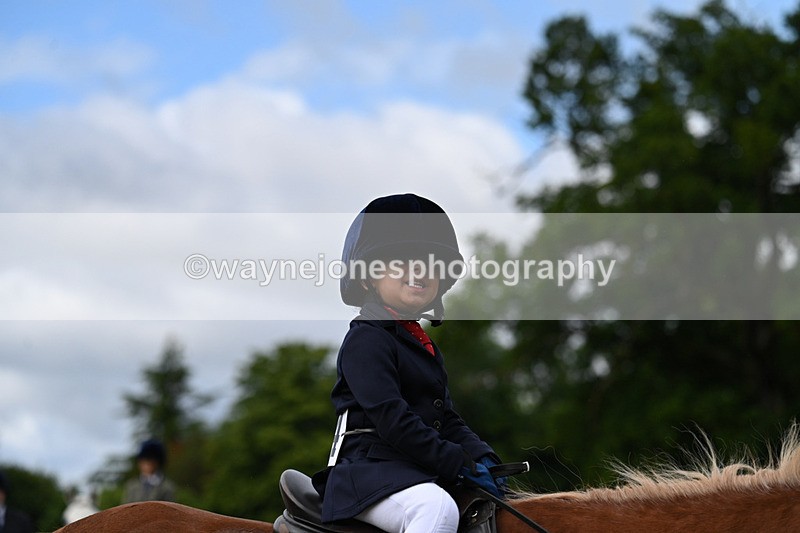 WJ7_4702 - Class 1 Lead Rein Pony