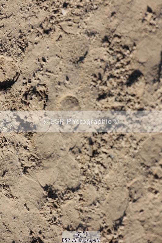 250821A-091742-12900 - NAF Round 1 Start to 9.30