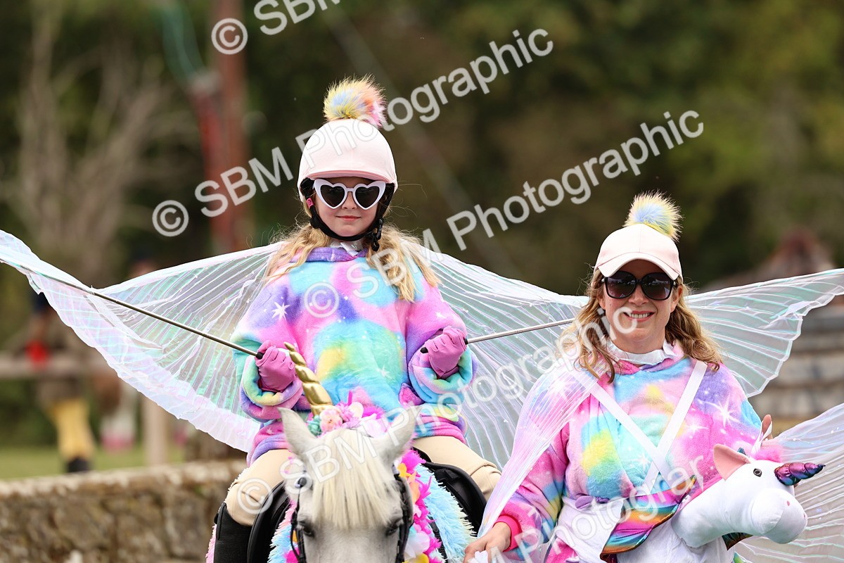 SBM_62209 - S37b - Best Unicorn