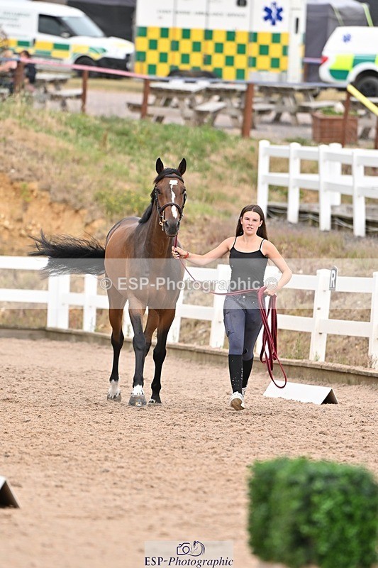 250716-163420-02675 - Trot Up 4.30 to 5.00