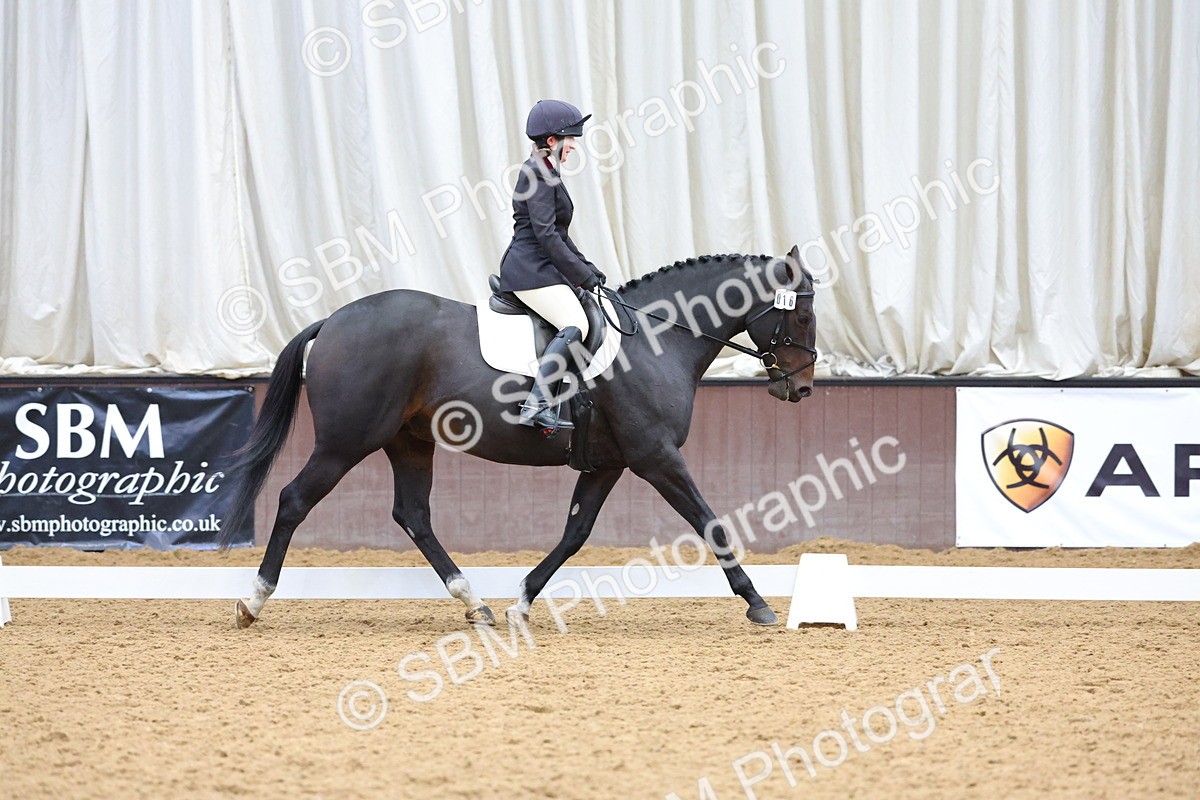 SBM_002065 - Class 5 - Novice 3
