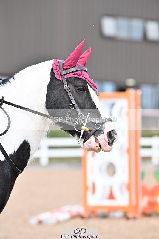 250821B-144140-00840 - Group D - Thomasina