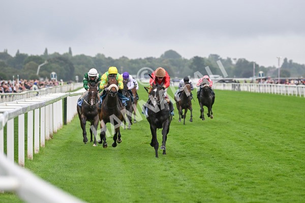 080924-Race 3-Brighton Boy-9039 - Race 3 2.50pm Irish Thoroughbred Marketing Nursery Handicap